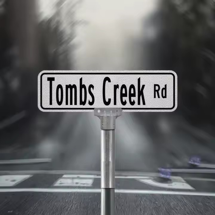 Personalized Reflective Street Name Sign with Custom Text