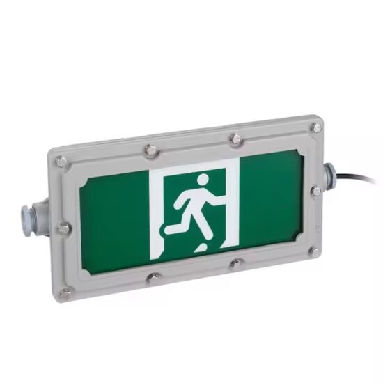LED Tunnel Emergency Exit Sign with Custom Design and Illumination