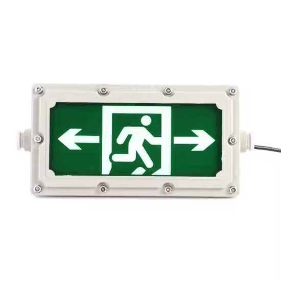 LED Tunnel Emergency Exit Sign with Custom Design and Illumination