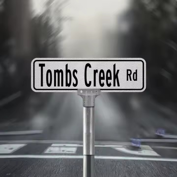 Personalized outdoor road sign with custom branding and directional arrows