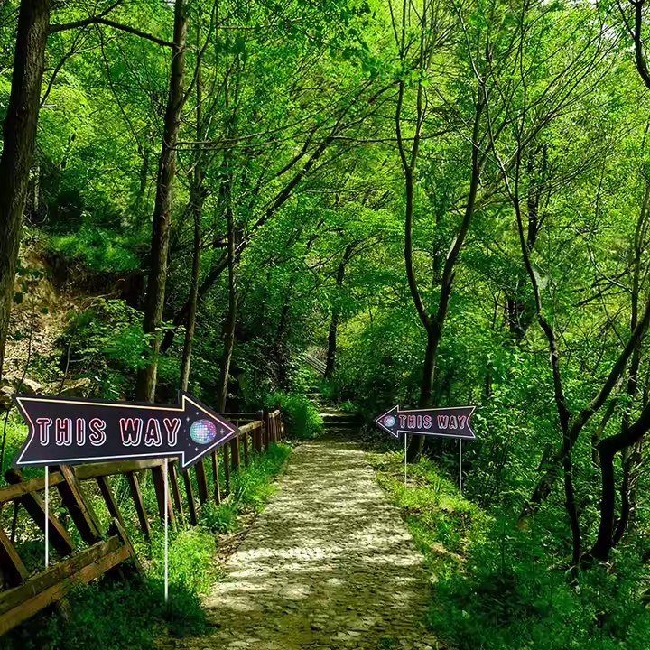 Color Arrow Yard Direction Sign for Garden Navigation
